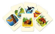 Animals of the National Parks Take a Hike: A 3-in-1 Card Deck, Fifty-Nine Parks