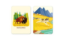 Animals of the National Parks Take a Hike: A 3-in-1 Card Deck, Fifty-Nine Parks