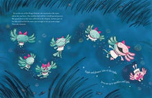 Axolotl-Ella: A Sort-of Cinderella Story By Messner