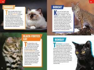 TIME for Kids: Big Cats, Small Cats: 101 Cats You Need to Know! by Jazynka