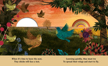 Family: A Peek-Through Picture Book by Teckentrup