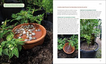 The Compact Garden: A Beginner's Guide to Growing Vegetables in Small Spaces By Lopez
