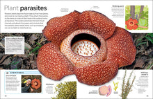 Eyewitness Plant (DK Eyewitness), DK
