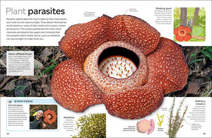 Eyewitness Plant (DK Eyewitness), DK