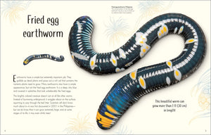An Anthology of Remarkable Bugs (DK Children's Anthologies) by French