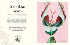 An Anthology of Remarkable Bugs (DK Children's Anthologies) by French