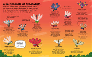 How to be a Dragonfly (How to Be a Bug), DK