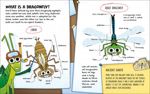 How to be a Dragonfly (How to Be a Bug), DK