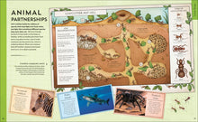 Explore: Science: A Visual Journey Through Our World