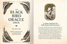 The Black Bird Oracle Deck: A 52-Card Deck and Guidebook By Harkness