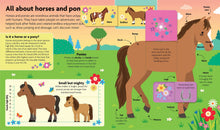 All About Horses & Ponies: Lift-the-Flap Book: Board Book with Over 50 Flaps to Lift! (FunFacts) by Ward