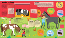 All About Horses & Ponies: Lift-the-Flap Book: Board Book with Over 50 Flaps to Lift! (FunFacts) by Ward