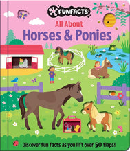 All About Horses & Ponies: Lift-the-Flap Book: Board Book with Over 50 Flaps to Lift! (FunFacts) cover image