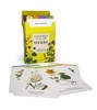 A Kitchen Full of Herbs Practical Card Deck
