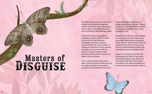 Don't Squish a Slug: A Wonderful Celebration of Marvellous Minibeasts! by Rafik