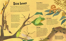 Don't Squish a Slug: A Wonderful Celebration of Marvellous Minibeasts! by Rafik