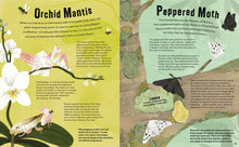 Don't Squish a Slug: A Wonderful Celebration of Marvellous Minibeasts! by Rafik