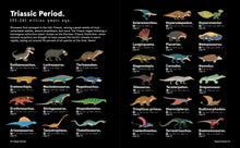 Weirdosaurus: Prehistory's Most Peculiar Dinosaurs by Bunting