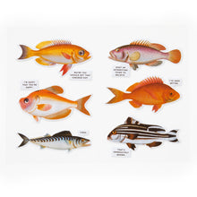 Judgy Fish 100 Piece Puzzle (Plus 6 bonus puffy stickers)