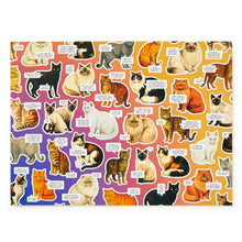 Moody Cats 1000 Piece Puzzle