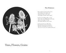 Robert Burns - Nature Poems by Burns