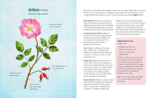 The Land Knows Me: A Nature Walk Exploring Indigenous Wisdom, Leigh Joseph, Natalie Schnitter