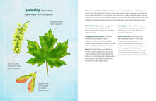 The Land Knows Me: A Nature Walk Exploring Indigenous Wisdom, Leigh Joseph, Natalie Schnitter