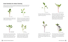 Indoor Kitchen Gardening for Beginners: Turn Your Home Into a Year-round Vegetable Garden - Microgreens - Sprouts - Herbs - Potatoes - Tomatoes - Peppers & More by Millard