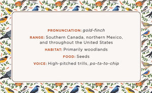 The Beginner Birder's Deck: 40 Cards for Birdwatching,