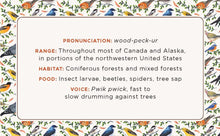 The Beginner Birder's Deck: 40 Cards for Birdwatching,