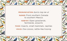 The Beginner Birder's Deck: 40 Cards for Birdwatching,