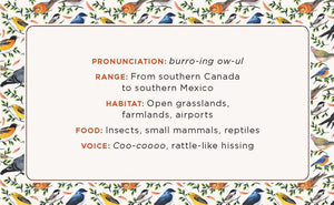The Beginner Birder's Deck: 40 Cards for Birdwatching,