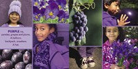 Colors by Shelley Rotner & Anne Woodhull