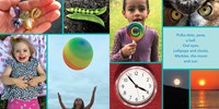 Shapes by Shelley Rotner and Anne Woodhull