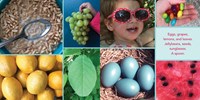 Shapes by Shelley Rotner and Anne Woodhull