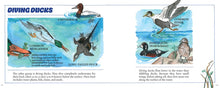 Ducks! (New & Updated) by  Gibbons
