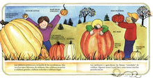 El libro de las calabazas (Spanish Edition) By Gibbons