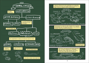 Science Comics: Frogs: Awesome Amphibians by Prince