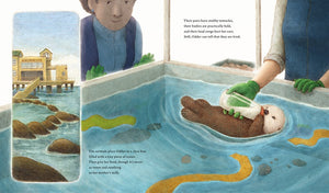 Odder: An Otter's Story by Applegate