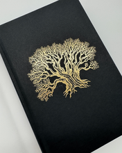 The Everlasting by Harrow