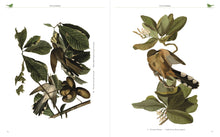 Audubon's Birds of America (Arcturus Epic Classics), John James Audubon