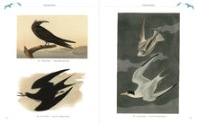 Audubon's Birds of America (Arcturus Epic Classics), John James Audubon