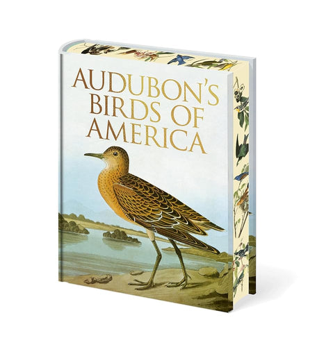 Audubon's Birds of America (Arcturus Epic Classics) cover image