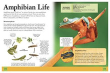 Ultimate Animal Encyclopedia: The Definitive Visual Guide (Arcturus Ultimate Encyclopedias) By Martin