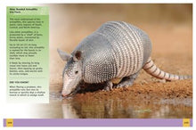 Ultimate Animal Encyclopedia: The Definitive Visual Guide (Arcturus Ultimate Encyclopedias) By Martin