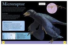 Ultimate Dinosaur Encyclopedia: The Definitive Visual Guide (Arcturus Ultimate Encyclopedias) By Hibbert