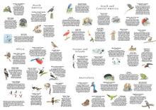 Around the World in 50 Birds 1000 Piece Puzzle