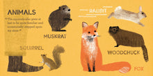 Walden: A BabyLit® Nature Primer (BabyLit Classics) by Adams