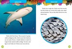 NGK 5-Minute Shark Stories
