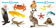 National Geographic Photo Ark Numbers / Números: Board Book: Bilingual English-Spanish By Sartore